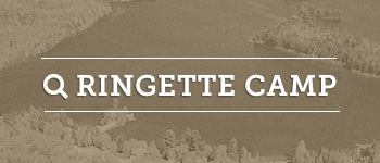 Eagle Lake Ringette Summer Camp Ontario