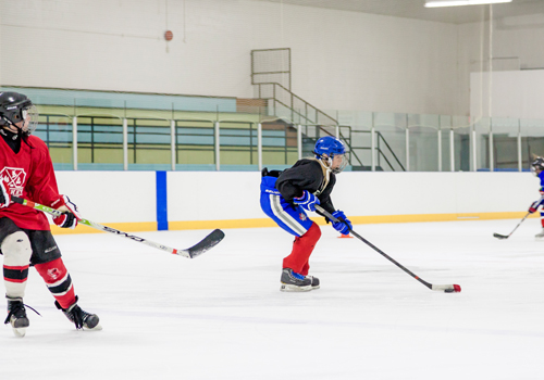 Summer Hockey Day Camp for Children & Teens